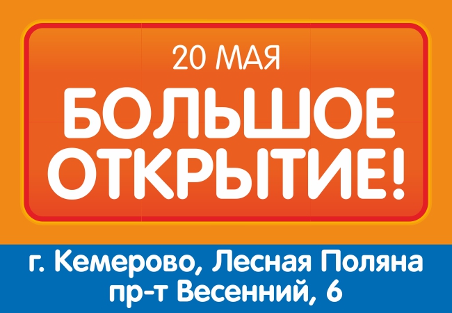 Dns Лесной Интернет Магазин