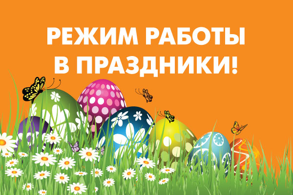 График Работы Днс В Новогодние Праздники