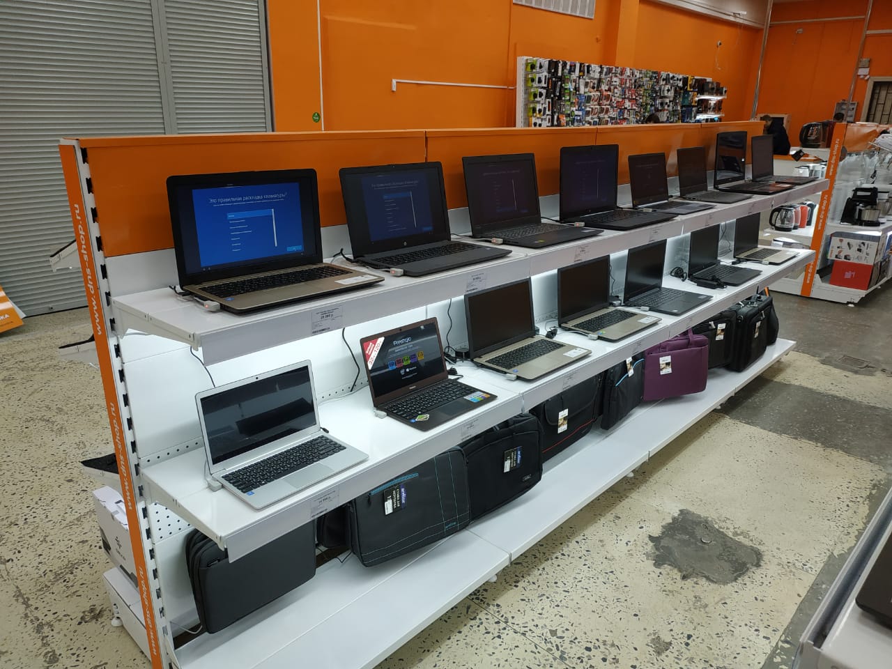 Днс Каргополь Каталог Интернет Магазин