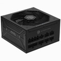 MSI MSI MAG A850GLS PCIE5