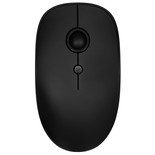 Мышь беспроводная DEXP WM-V101  черный