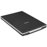 Сканер Epson Perfection V19