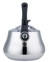 Чайник Polaris Calido-2.8 L серебристый