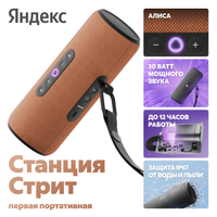 Smart portable speaker Яндекс Станция Стрит, orange