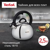 Чайник для плиты Tefal N4180317 серебристый
