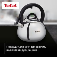 Чайник для плиты Tefal N4180317 серебристый
