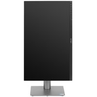 23.8" Монитор ASUS ProArt PA24ACRV черный