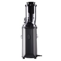 Electric juicer ARDESTO JEG-1330SL silver