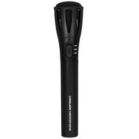 Set of microphones RITMIX RWM-302 black