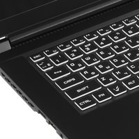17.3" Laptop ARDOR GAMING NEO N17-I5ND613 black