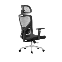 Компьютерное кресло Evolution ErgoLine 2 черный