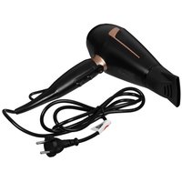 Fen Rowenta Pro Expert CV8830F0 qora/oltinrang