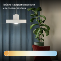 Умная филаментная лампа Яндекс YNDX-00554 Filament