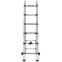 Лестница двухсекционная FinePower ZJ2060