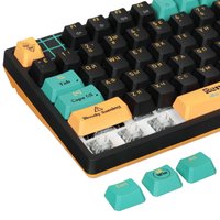 Keyboard  wired A4Tech Bloody AT87 Renegade
