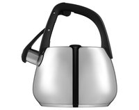 Чайник для плиты Polaris Mela-2.5L серебристый