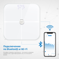 Весы Renpho Elis Aspire WiFi Body Scale ES-BR001 белый