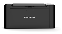 Принтер лазерный Pantum P2503