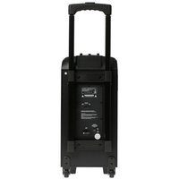 Портативная аудиосистема Aceline LP-V100, черный