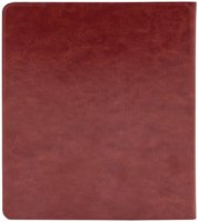 7" Электронная книга ОНИКС БУКС Галилео 3 черный + чехол