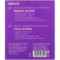 Сетевое зарядное устройство DEXP IET25CD черный