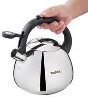 Чайник для плиты Tefal Duetto+ N4180110 серебристый