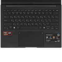 14" Laptop ASUS ZenBook 14 UM3406GA-QD049 black