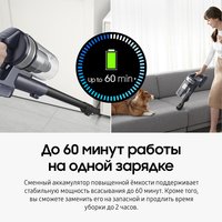 Вертикальный пылесос  Samsung VS20B75ACR5/EV  черный