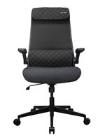 Computer chair Cougar Stryder black