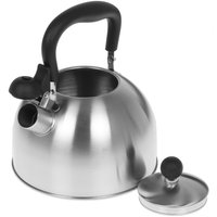 Чайник для плиты Aceline TS-251 серебристый