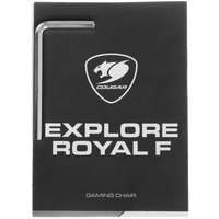 Компьютерное кресло Cougar Explore Royal F черный