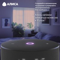 Умная колонка Яндекс Станция Мини 3 черный