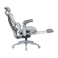 Компьютерное кресло Evolution ZX 3 серый