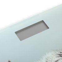 Scales DEXP SCL-30P multicolored