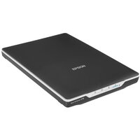 Сканер Epson Perfection V19