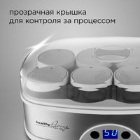 Йогуртница Redmond RYM-M5401 серебристый