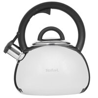 Чайник для плиты Tefal N4180317 серебристый