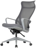 Computer chair CHAIRMAN CH577 gray