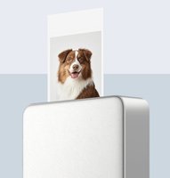 Компактный фотопринтер Xiaomi Portable Photo Printer Pro белый