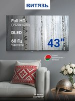 43" (109 см) Телевизор Витязь D43FN01BF черный