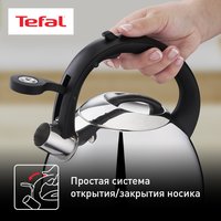 Plita uchun choynak Tefal Duetto+ N4180110 серебристый