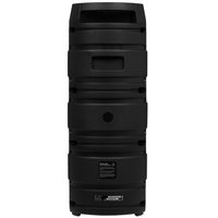 Портативная аудиосистема Fiero Wonder V450, черный