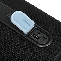 Portable speaker Fiero Intrepid P530, black
