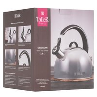 Чайник для плиты TalleR Обсидиан TR-11355 серебристый