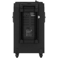 Портативная аудиосистема Fiero Maletas FRPA-200, черный