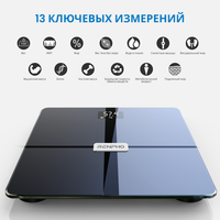 Весы Renpho Elis Aspire WiFi Body Scale ES-WBE28 черный