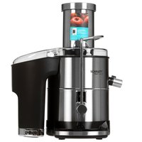 Соковыжималка электрическая Scarlett SC-JE50S65 серебристый