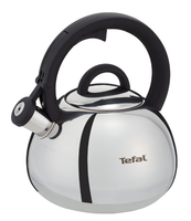Чайник для плиты Tefal N4180317 серебристый