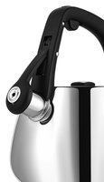 Чайник для плиты Polaris Mela-2.5L серебристый