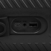 Портативная колонка DEXP DPS-510, черный